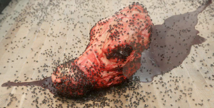 Buyrun böcek sergisine - Resim: 1