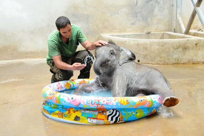 İzmir'in banyo keyfi - Resim: 2