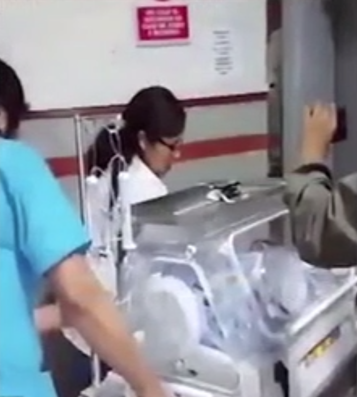 Yenidoğan bebeği sokağa bıraktı köpekler paramparça etti! - Resim: 4