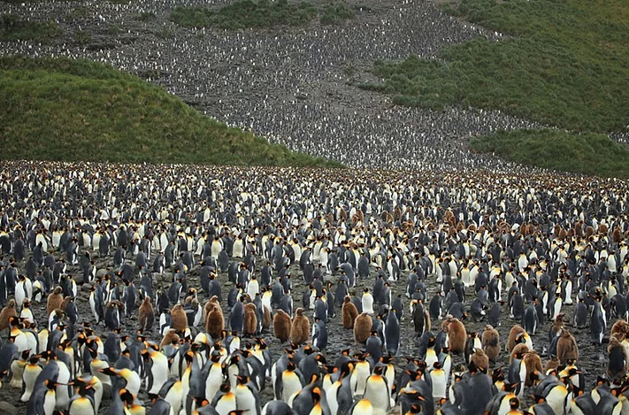 Fotoğraftakilerin ne olduğuna şaşıracaksınız - Resim: 3
