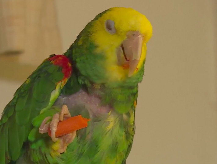 Evden bir kadının yardım çığlıklarını duydu kapıyı zorla açtılar şoke oldu - Resim: 3