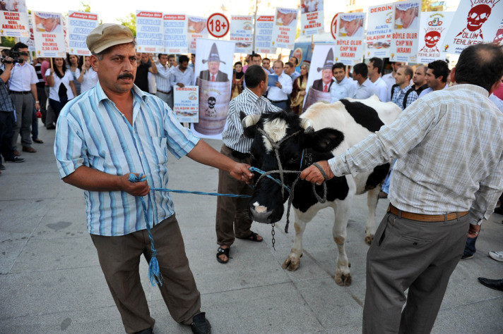 AK Partililerden inekli protesto - Resim: 4