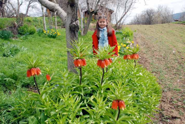 Bu bahar Meclis'te ters lale açacak! - Resim: 4