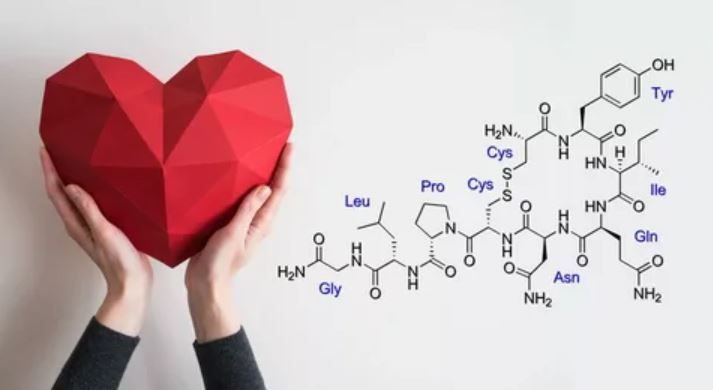 Mutluluk hormonu oksitosin nasıl artırılır ne yemeliyiz? - Resim: 1