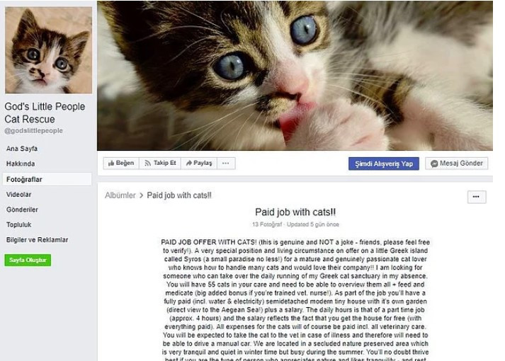 Bu iş ilanı çok sevildi: Adada bir ev,  Euro ile maaş - Resim: 2
