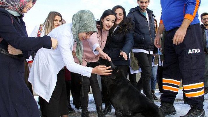 Özel eğitimli Arya'ya öğrencilerden yoğun ilgi 