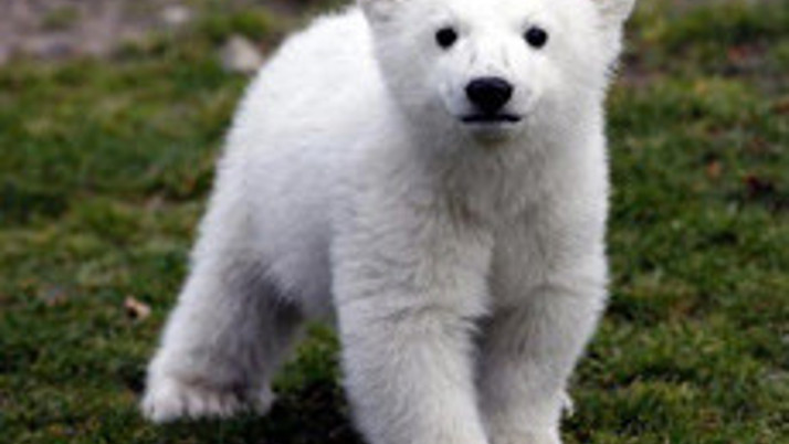 Bush onları hiç sevmedi Obama gönül verdi 