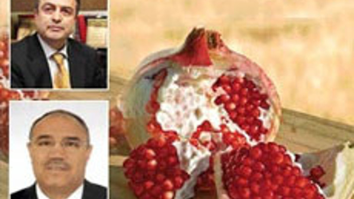 Mecliste fıkra gibi bir karışıklık!