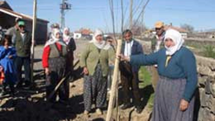 Ağaçlandırma seferberliğinde kadın farkı!