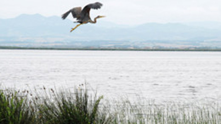 Samsun'a Doğa ve Bilim okulu projesi