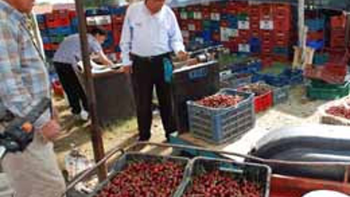 Pazarlar'da kiraz sezonu sona erdi