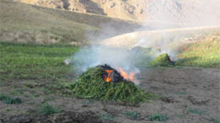 Van'da uyuşturucu operasyonu