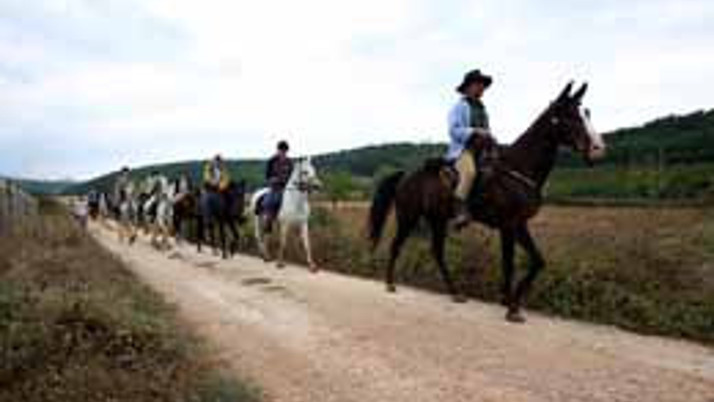 At sırtında İstanbul'dan Hicaz'a