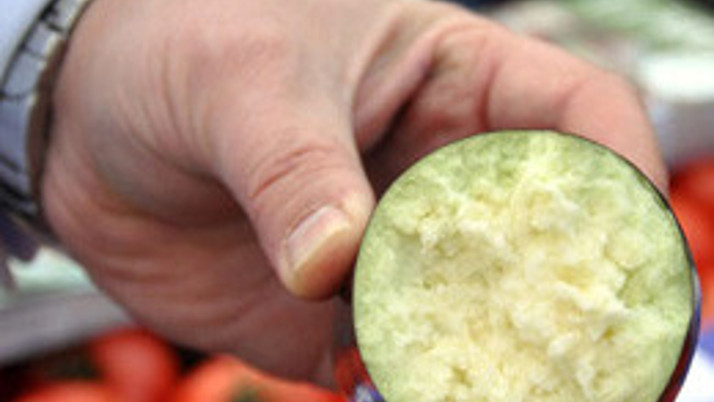 Patlıcanda 'tatlıcan' devrimi