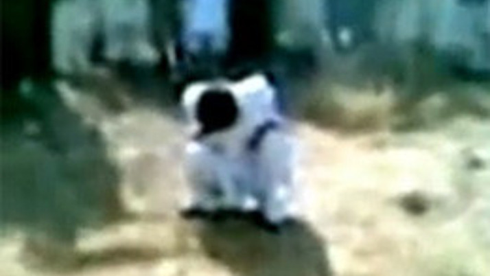 Zina yapanlar taşla öldürüldü