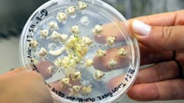 Türk bilimadamlarından dünyada bir ilk