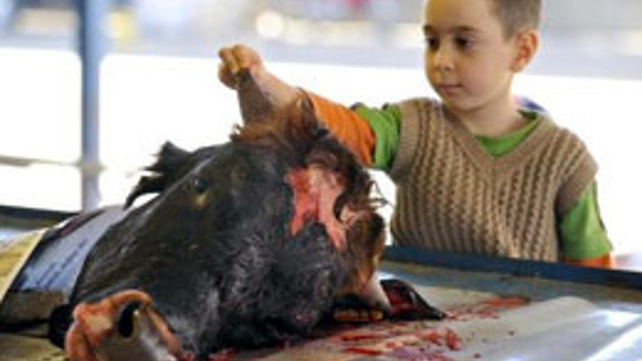 Bu görüntüler turizmin başkentinden!