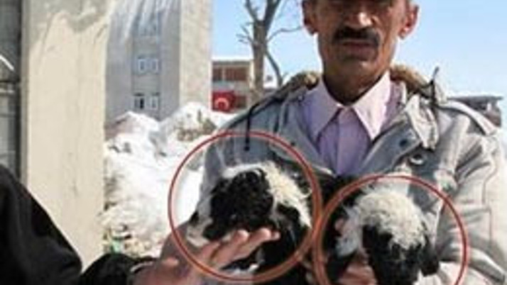 Van'da inanılmaz olay!