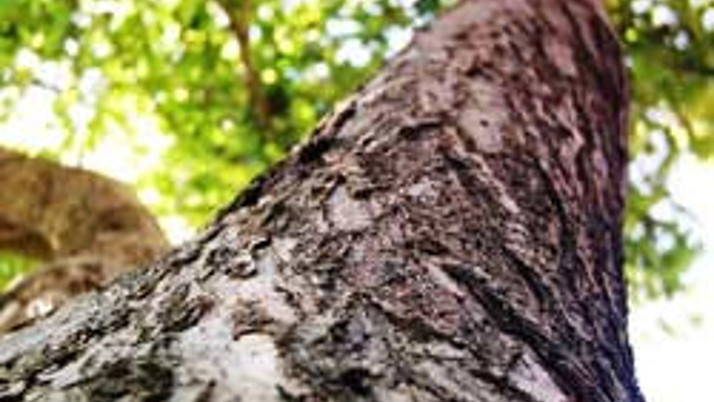 Yerçekimi kuantumla hesaplandı