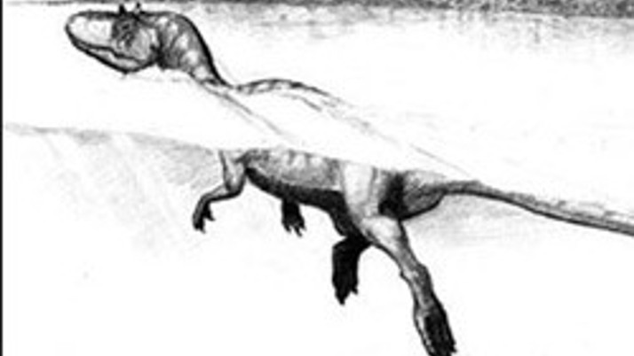 Dinazorlar meğer yüzüyormuş!