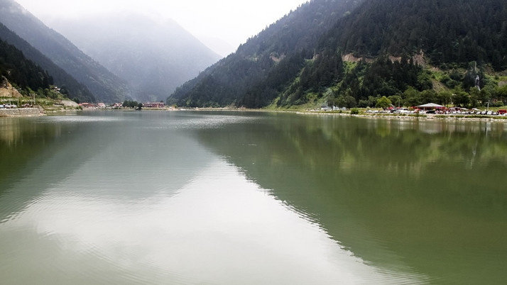 Yer Trabzon! Zehirlenen 217 kişi hastaneye kaldırıldı