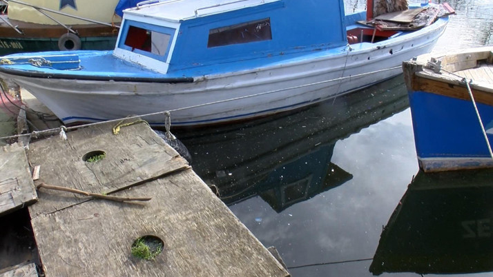 İstanbul Küçükçekmece Gölü'nde iple bağlanmış halde köpek cesedi bulundu