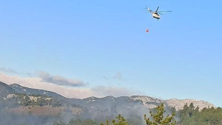 Adana'da orman yangını! Ekipler olay yerinde