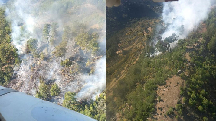 Manavgat'ta orman yangını! Havadan ve karadan müdahale ediliyor