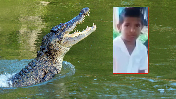 Dev timsah küçük çocuğu yedi! Anne ve babası çaresizce izledi: Her yerde cesedini arıyorlar!