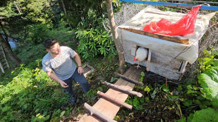 Tavuklarını ayılardan koruyabilmek için yerden 25 metre yükseklikte kümes yaptı