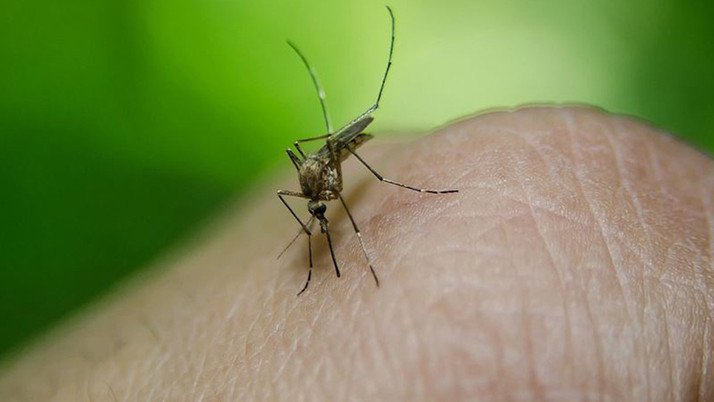 Dünya genelinde şubat ayında basına yansıyan "tuhaf" olaylar