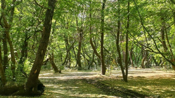 Ormanda kaybolmuştu! 4 yaşındaki Hira'dan haber var