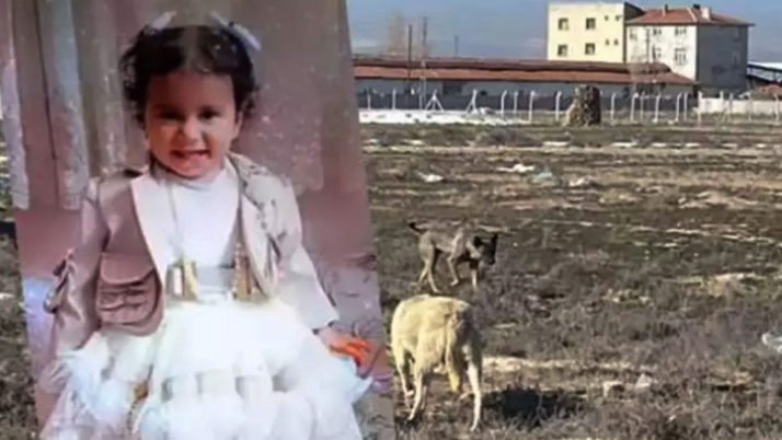 konya-djjt_cover.jpg
