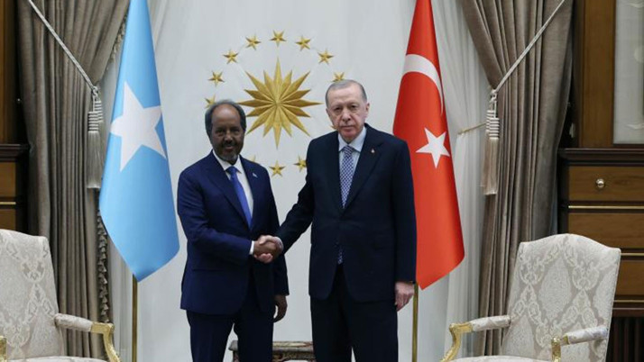 Cumhurbaşkanı Erdoğan, Somali Cumhurbaşkanı ile görüştü