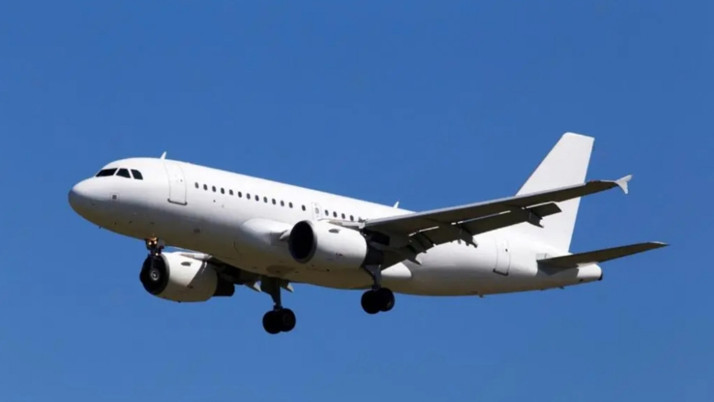 Uçakta panik anları: Acil çıkış kapısını açmaya çalıştı