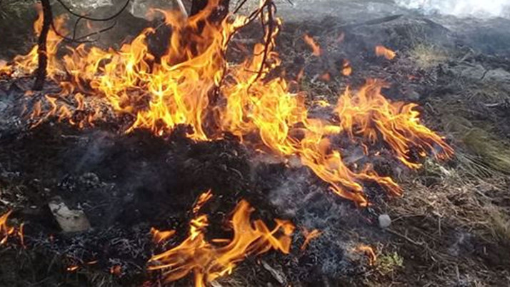 Marmaris'te ormanda ateş yaktığı öne sürülen zanlı yakalandı!