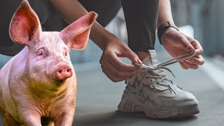 Dev ayakkabı markalarına ceza yağdı! Ürünlerde "domuz derisi" tespit edildi