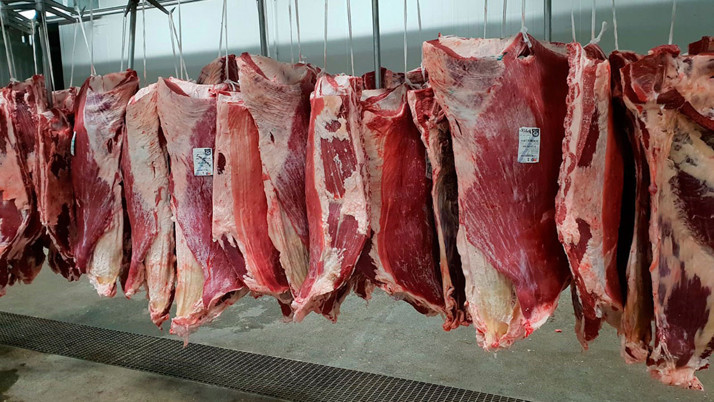 Dev et markası konkordato ilan etti!