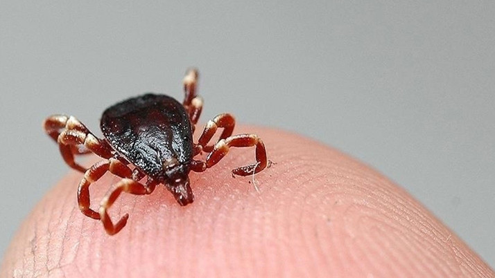 Havalar ısınınca ortaya çıktı 2 kişi öldü! Çıplak elle kopardı sonrası feci