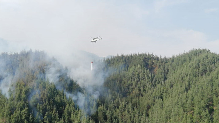 Orman yangını başladı! Validen açıklama geldi