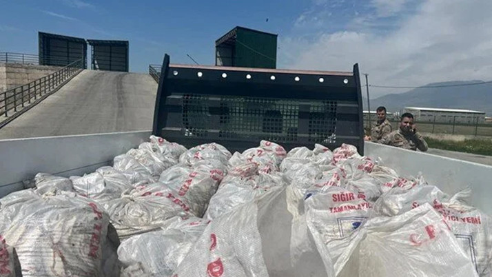 Ağrı'da 2 ton kaçak inci kefali ele geçirildi