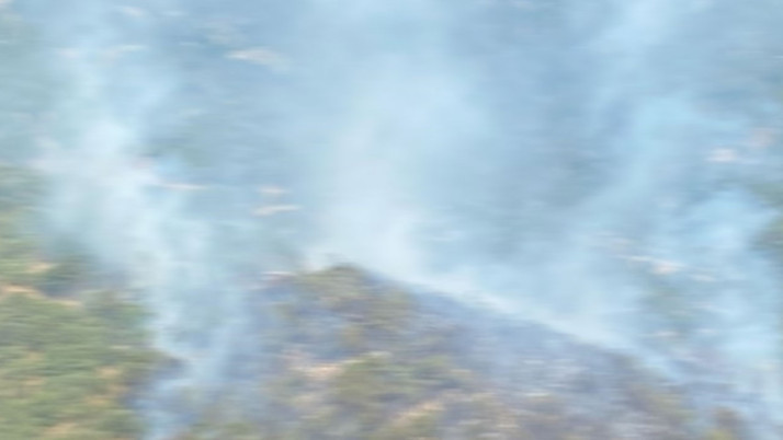 İzmir'de zeytinlik alanda çıkan yangın kontrol altına alındı