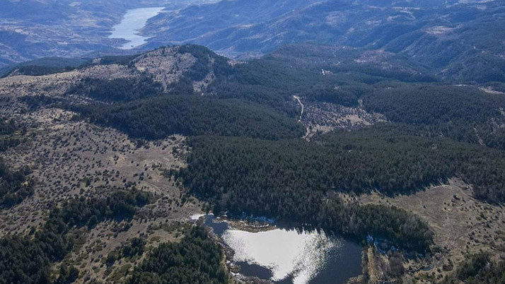 Ankara’da ormanlara giriş yasaklandı