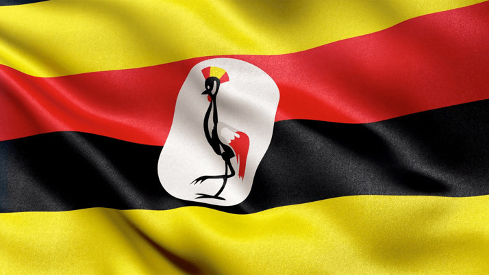 Alman büyükelçi sınırları aştı Uganda askeri ilişkileni askıya aldı