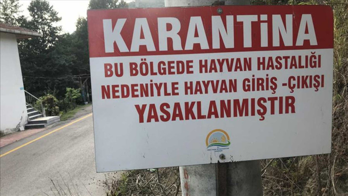 Hatay Samandağ'da 4 mahalle kuduz sebebiyle karantinaya alındı