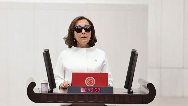 AK Parti'yi katılan Prof. Serap Özbudun Anayasa komisyonuna alınmayınca dalga konusu oldu