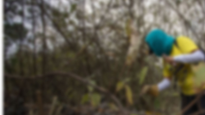 Kaybolan 5 müzisyenin cesetleri ormanlık alanda bulundu