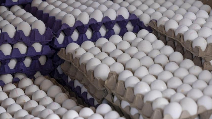 Mayısta fiyatı en çok artan ürün posta hizmetleri, en fazla düşen yumurta oldu