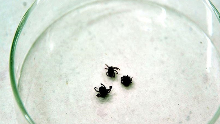 KKKA hastalığı şüphesiyle tedavi gören kişi öldü