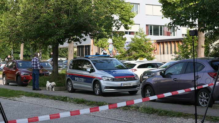Avusturya'da okulda 10 kişiyi öldüren failin evinde patlayıcı ve intihar mektubu bulundu